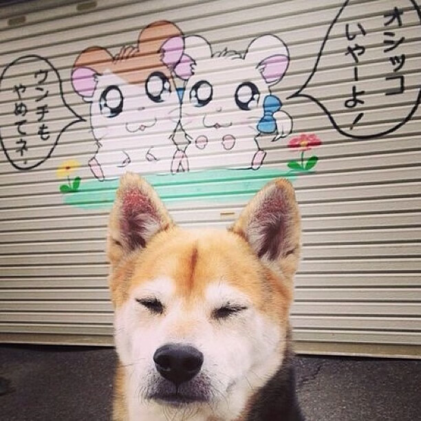 意甲“榜首之战”:尤文VS那不勒斯排名关键战