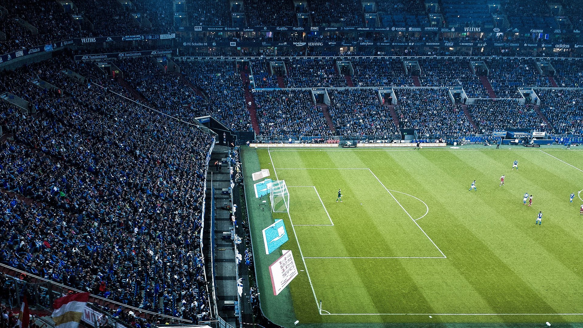 世界杯：志愿者满意度调查结果优异 多人计划继续服务下一届赛事