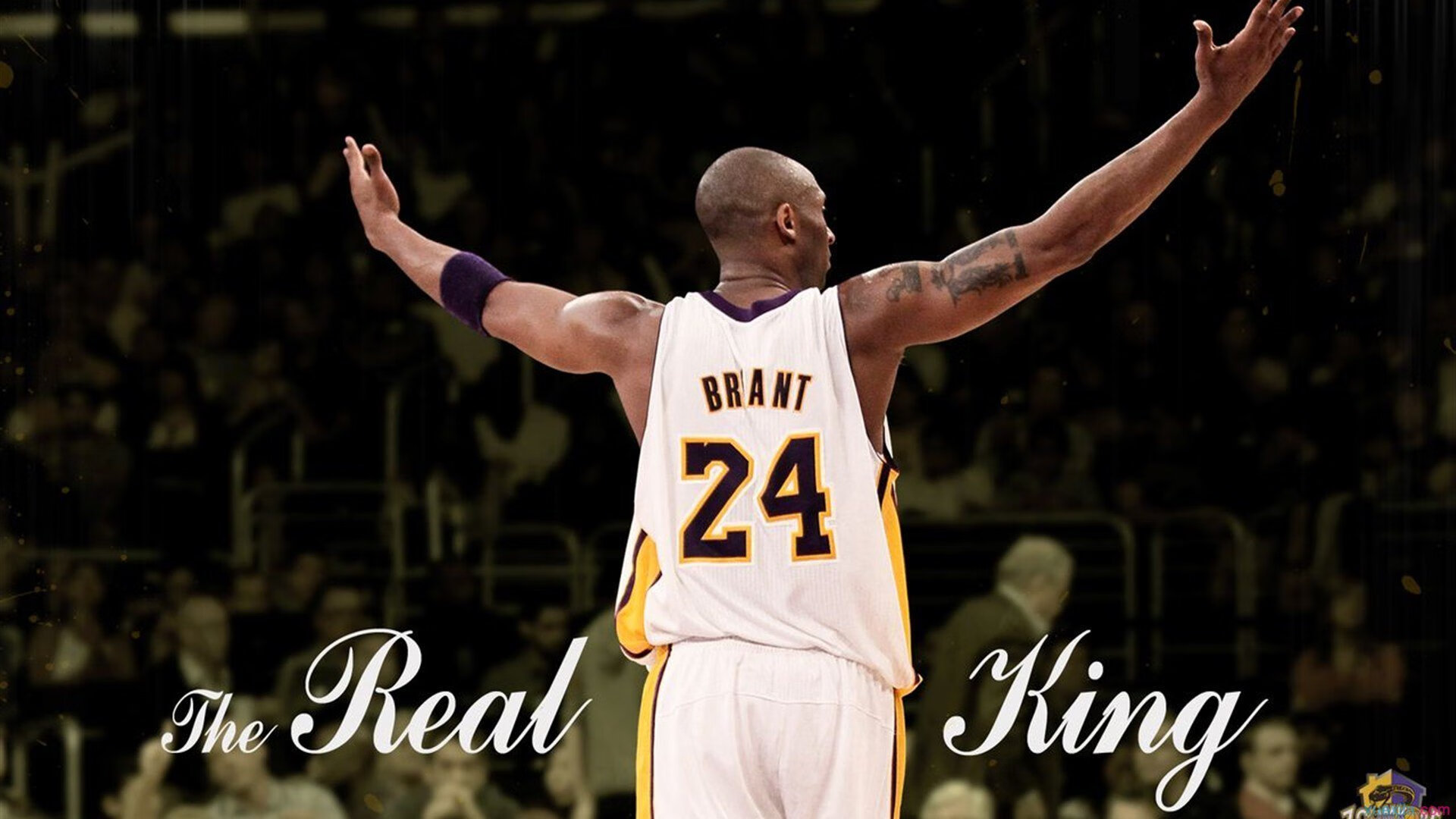 世界杯：中立解说员因一句“这球不进对不起全村WiFi”走红